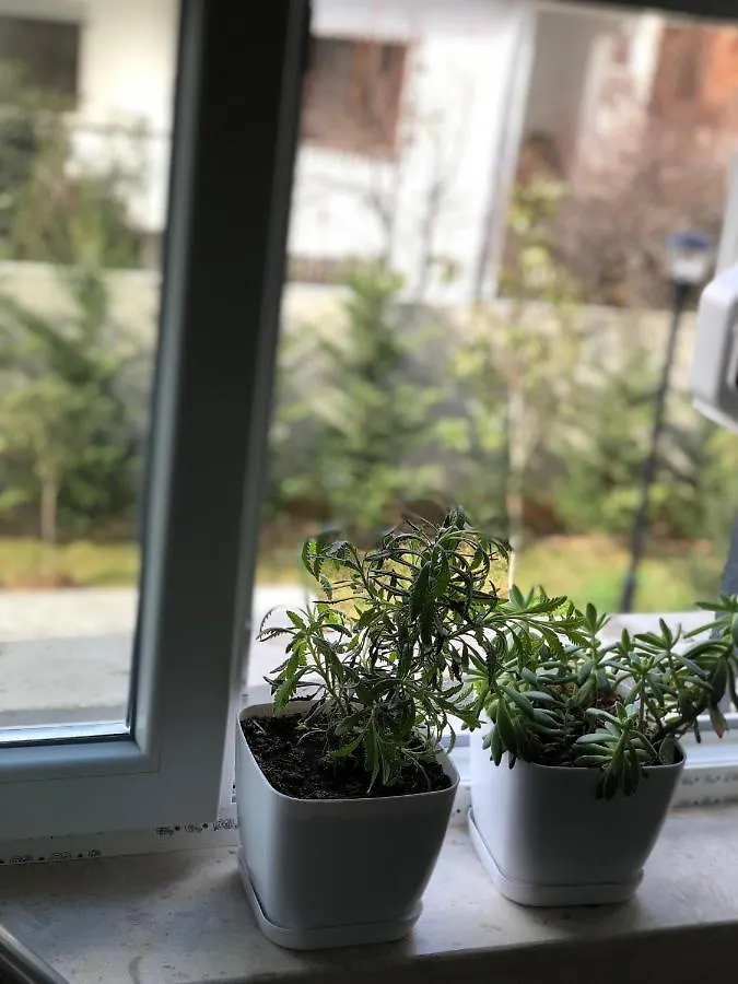 Jon'S Duplex Apartman Tirana